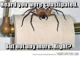 spiders on Pinterest | Funny Jokes, Jokes and Funny Pics via Relatably.com