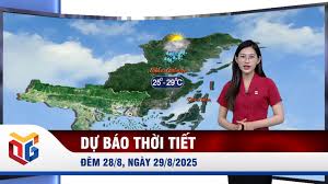 Báo Quảng Ninh - News update
