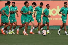 Palmeiras inicia mata-mata com elenco renovado e mira nova era vencedora