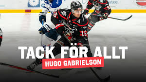 Hugo Gabrielson lämnar Nybro Vikings