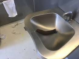 Tv2 Nord : la rencontre qui retient son souffle — image 4