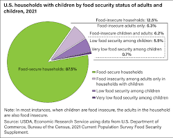 Image of Health problems associated with food insecurity in the United States