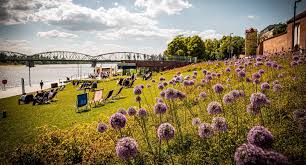 otoTorun.pl - News update