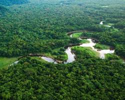 Image of Amazon Rainforest, Brazil