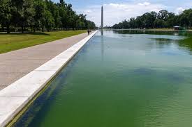 Lincoln Memorial Reflecting Pool turns green after surface painted