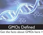 Gmo definition