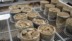 Image result for Soil Science