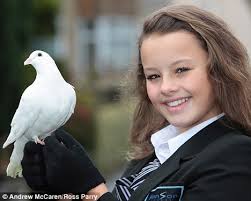 Dove love: Rebekah Horsfield, 13, adopted &#39;Snowy&#39; after he followed her - article-1331967-0C2F4249000005DC-483_468x374