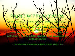 Hasil gambar untuk pecinta alam indonesia