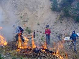 Resultado de imagen para amenazas naturales huracanes