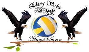 Hasil gambar untuk volly