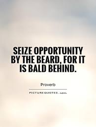 Seize opportunity by the beard, for it is bald behind via Relatably.com