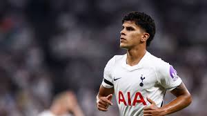 Mateus Fernandes is the immediate Conor Gallagher solution