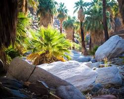 Image of Indian Canyon