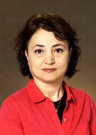 Senay Simsek Featured in AES Research Profile. - image