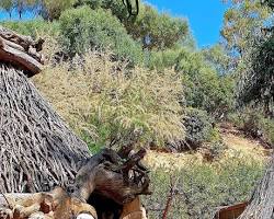 Immagine di Parco Naturalistico Bellavista Sardegna