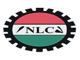 Image result for NLC