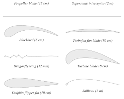 Aerofoil Blade