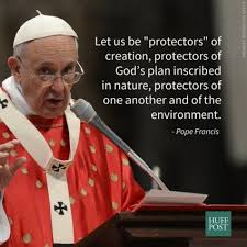 Pope Francis Quotes On The Environment | Activism | Pinterest ... via Relatably.com