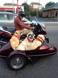 Image result for sidecar
