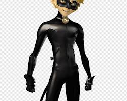 Kara Kedi (Adrien Agreste) Miraculous Ladybug character resmi