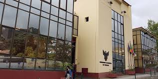 Bombeiros resgatam gato de levada no Funchal