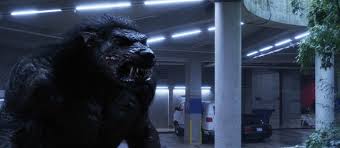 Image result for werewolves vs bigfoot