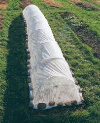 Bildergebnis für row cover