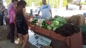 Resultado de imagen de agricultura y ganaderia de mercado