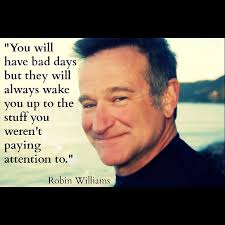 Robin-Williams-quotes_Rolling-Out-Joi-Pearson-2.jpg?b0a886 via Relatably.com