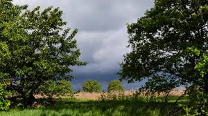 wetter berlin