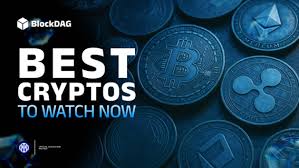 The Portugal News - News update