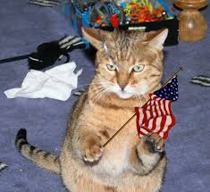 Image result for cats celebrating july 4th