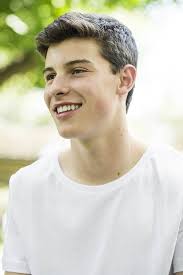 Image result for shawn mendes 2015