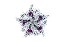 Una IA creó virus que no se encuentran en la naturaleza
