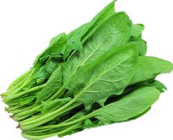 Image result for spinach