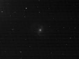 Image result for m91 galaxy