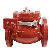 AWWA C508 Swing Check Valves - 6 in.