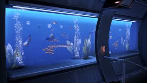 images?q=tbn:ANd9GcQ9seJi1A58S5xbgDcDUEk