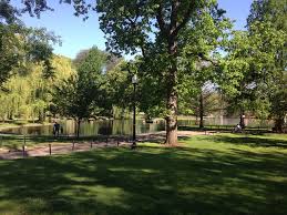 Image result for outdoors