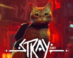 Stray(ストレイ)のネコの画像