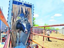 Zacatecas, fuera de programa de mosca estéril