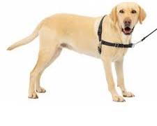 PetSafe Easy Walk Harnessの画像