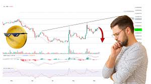 هشدار برای خریداران میم‌کوین محبوب
