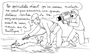 external image images?q=tbn:ANd9GcQALhOjCsrEh-hWD_7wgJBgXx6Zb3L_mYX8eeSE349ZUCpwCjifMA