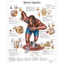 Image result for sports injuries