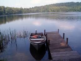 Image result for quiet pond