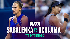 Trend Google: aryna sabalenka