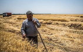 پرداخت وام بدون ضامن به مستمری‌ بگیران صندوق بیمه اجتماعی قزوین