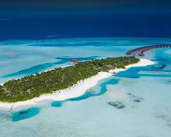 Gambar Anantara Dhigu Maldives Resort